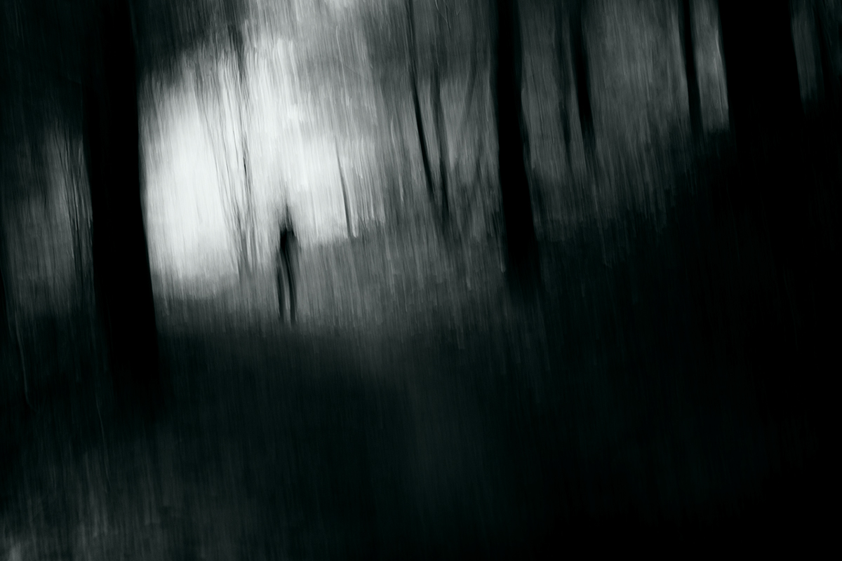 woods man fear mood creepy gloomy shape Silhouette figure lost alone deep