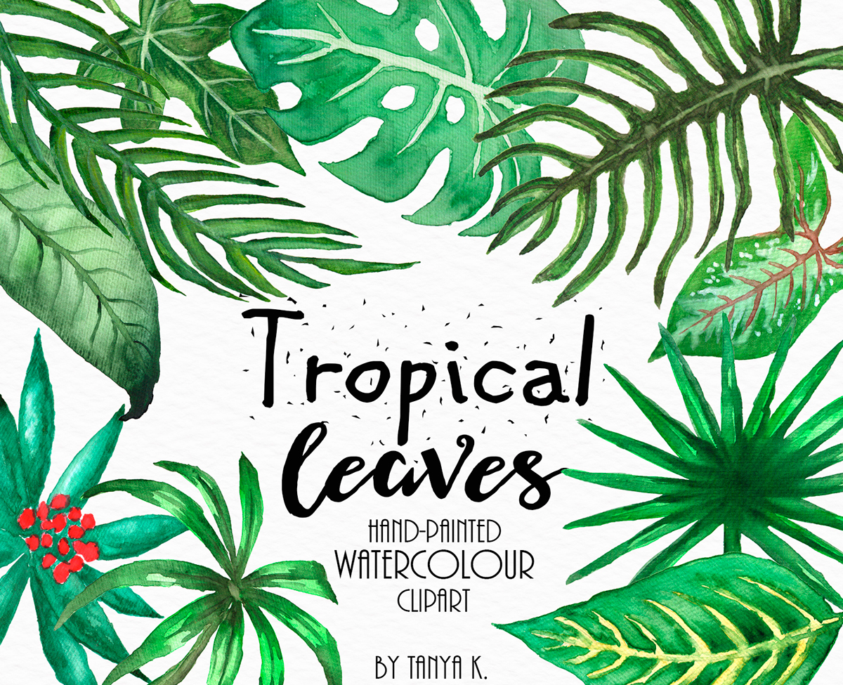 clip art tropical leaves - photo #22