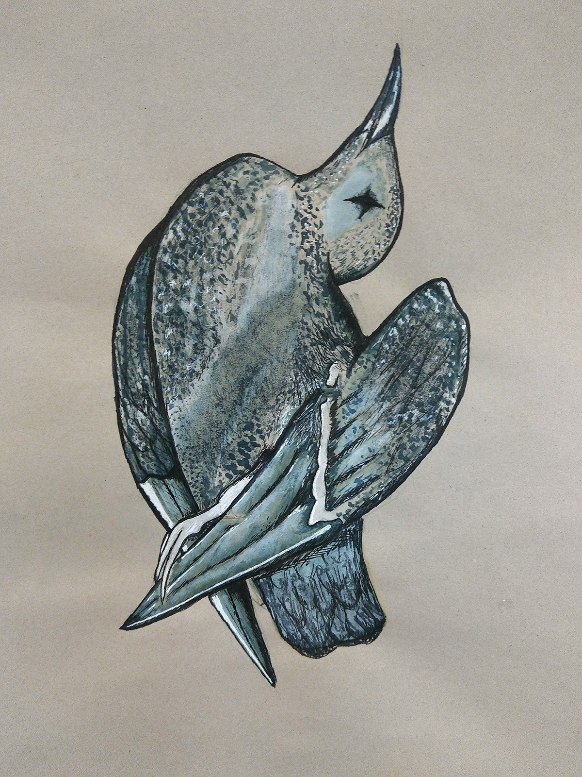 bird ink Drawing  inkdrawing ink drawing FINEART fine art
