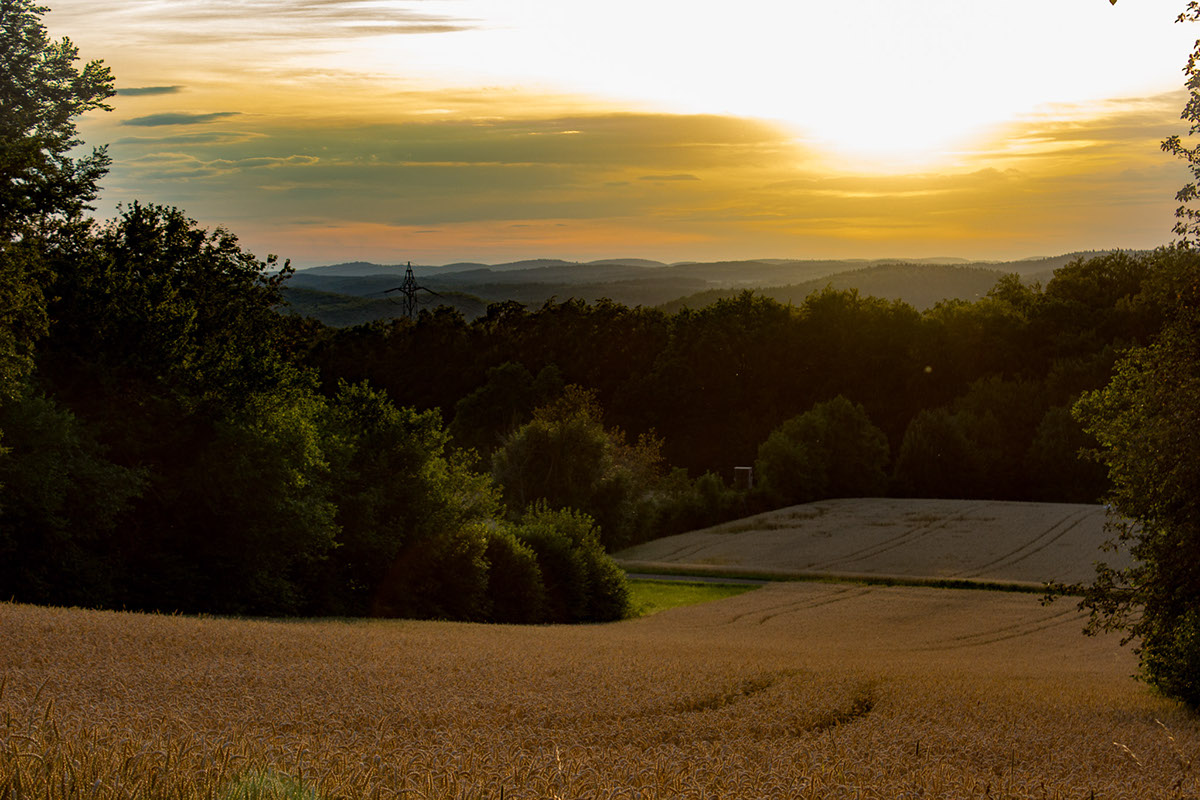 Adobe Portfolio crop field sunset