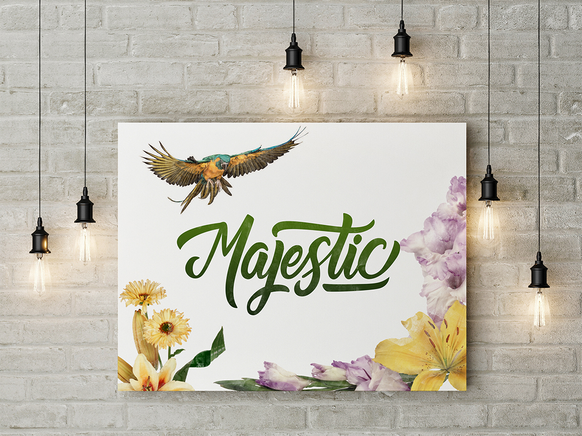 Letterings caligraphy design vector graphicdesign type typography  