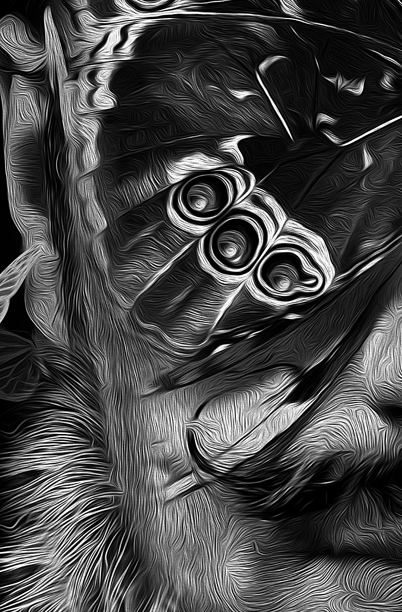 fantasmagorik nicolas obery dark face black portrait comics butterfly fantastic curioos STEAMPUNK