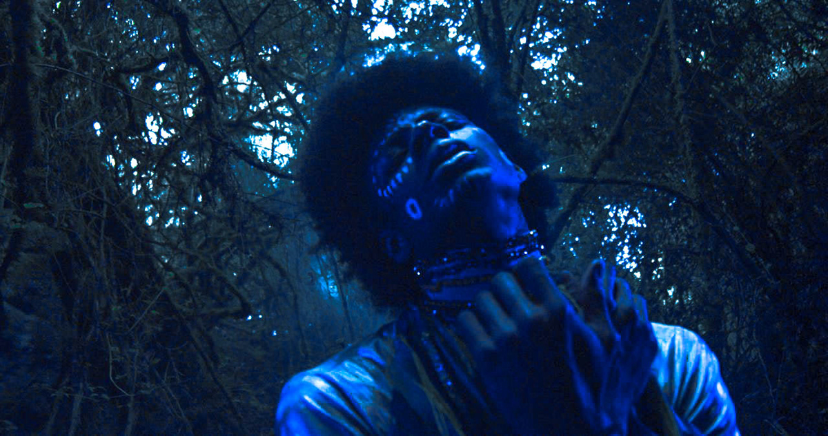 Photography  art art direction  forest Videoclip music Love color Digital Art  afro