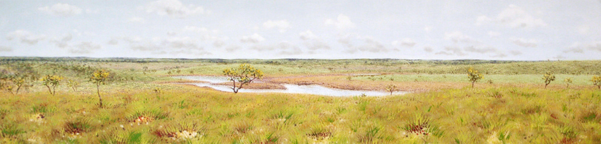 oil landscapes Landscape impressionism Pointillism color bright colorfull plains trees fishing wilderness venezuela untamed