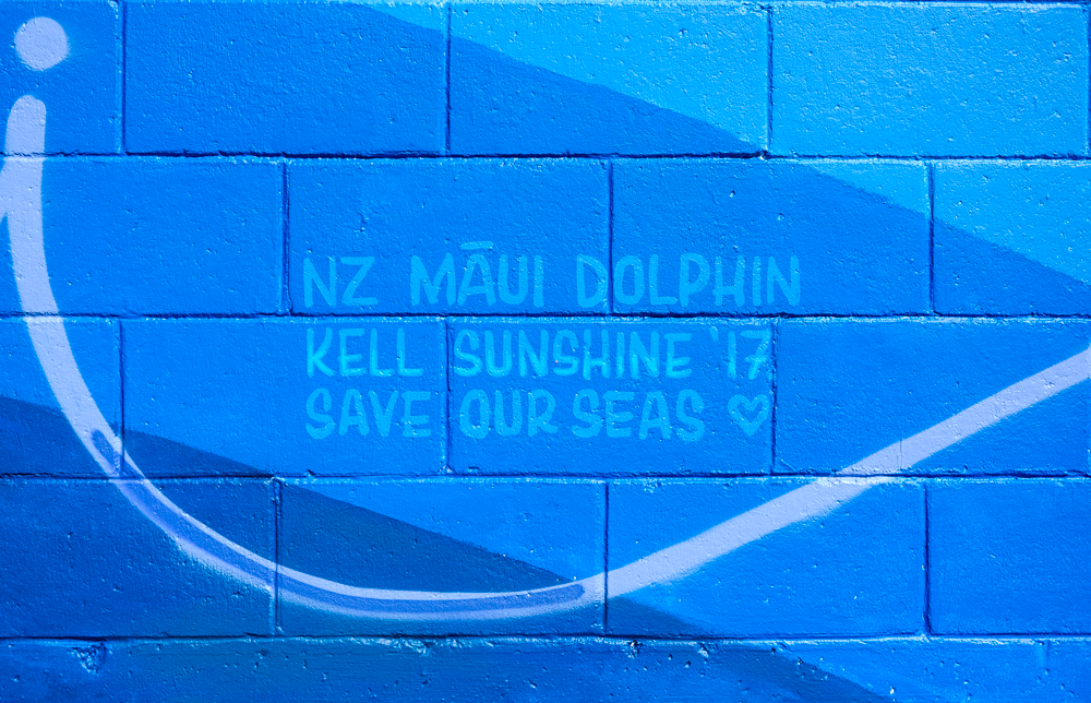 Mural Street Art  dolphin endangered New Zealand HAND LETTERING