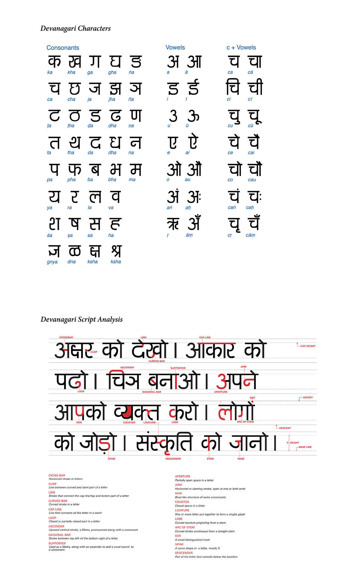 Scripts devanagari japanese hindi graduation work font design kanji 漢字 ひらがな カタカナ Hiragana Katakana 文字デザイン フォント