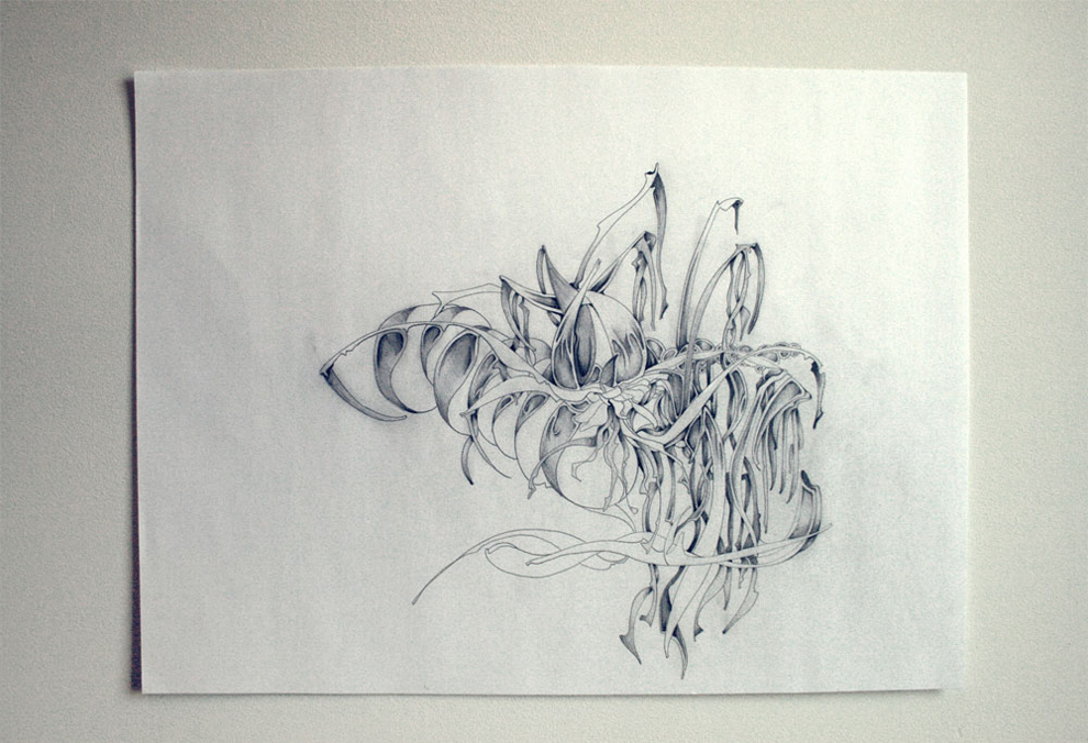 sougwen pencil abstract organic