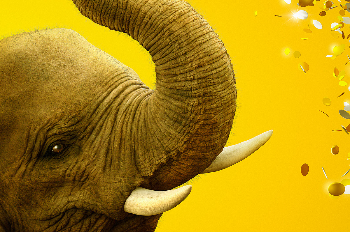 san diego zoo elephant CGI confetti 100 years animal elefante confete 3D