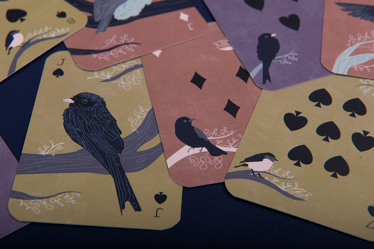 Bird Illustration birds card design cards colorful game hungarian ILLUSTRATION  Playing Cards Packaging