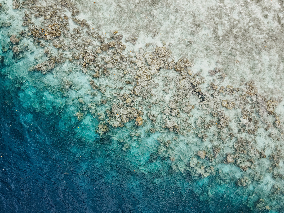 Drone shot of the shore showing a coral reef.