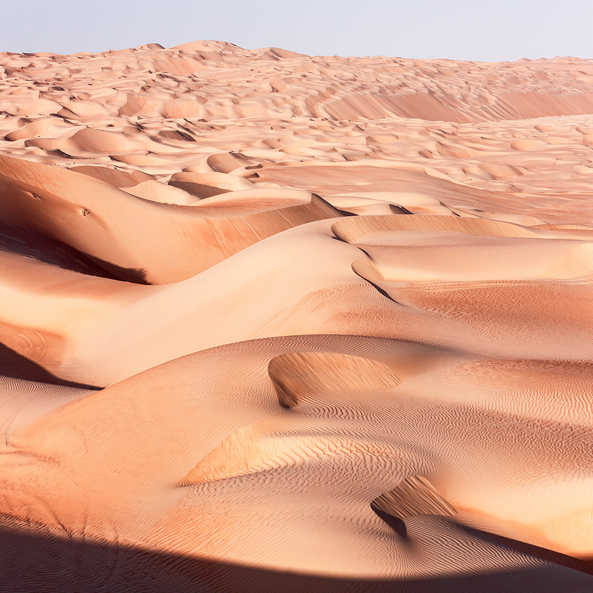 desert dunes Lanscapes liwa Nature Photography  sands Travel Deserts Editing Photos