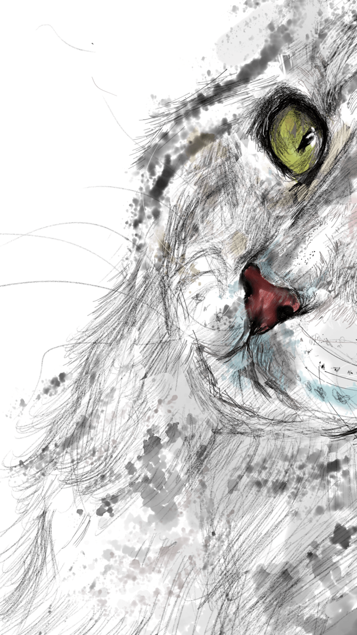 adobe adobefresco AdobeSketch animal Cat digitalpainting Drawing  gatos painting   watercolor