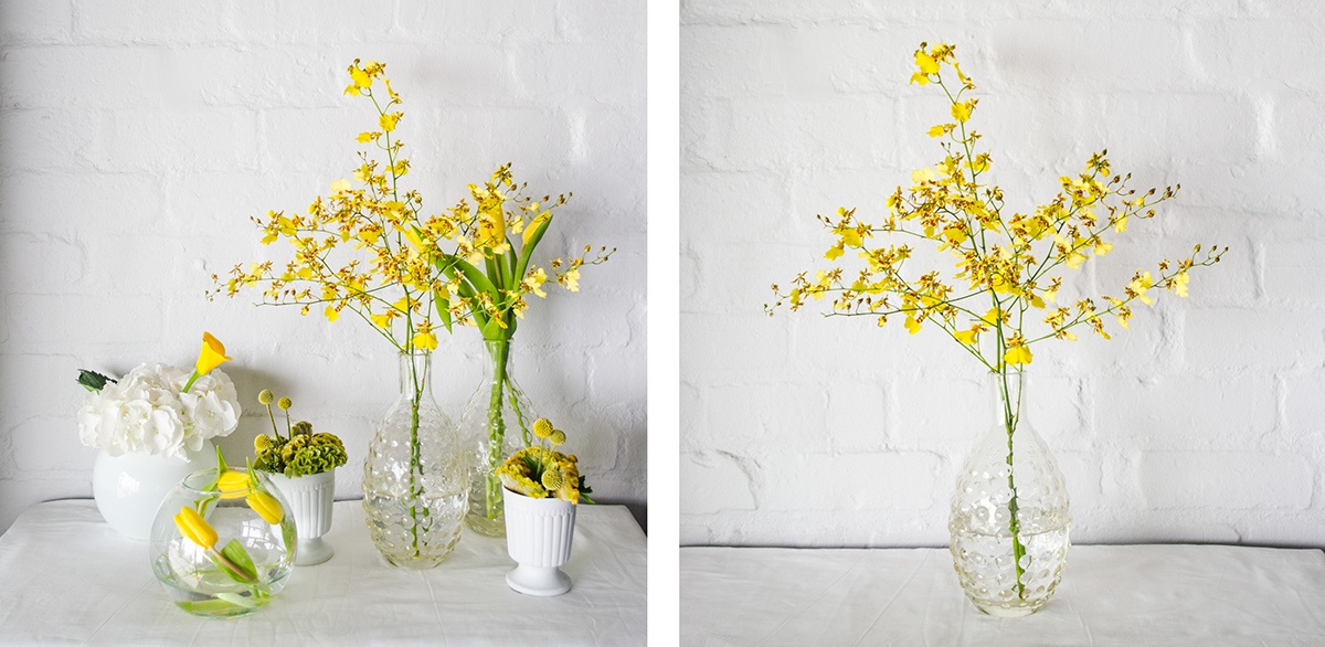 styling  Photography  lifestyle Flowers