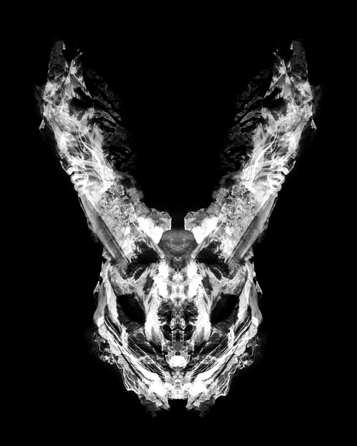 abstract inkblot rorschach skull dark skeleton xray mirror animal dark art
