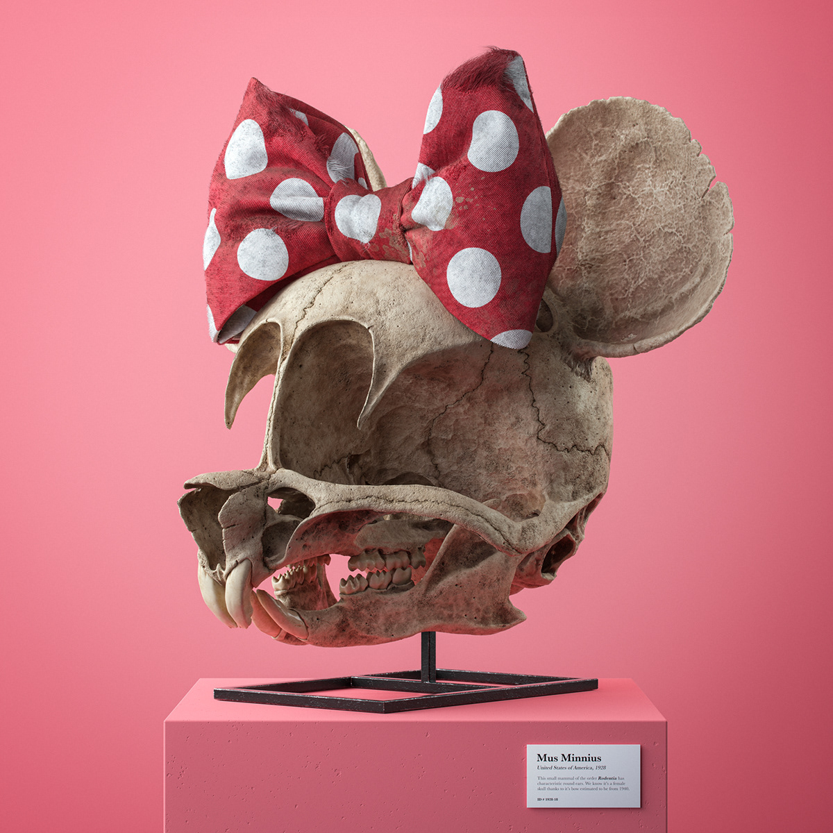 3d render cartoon cinema 4d culture disney ILLUSTRATION  pop realistic skull spongebob