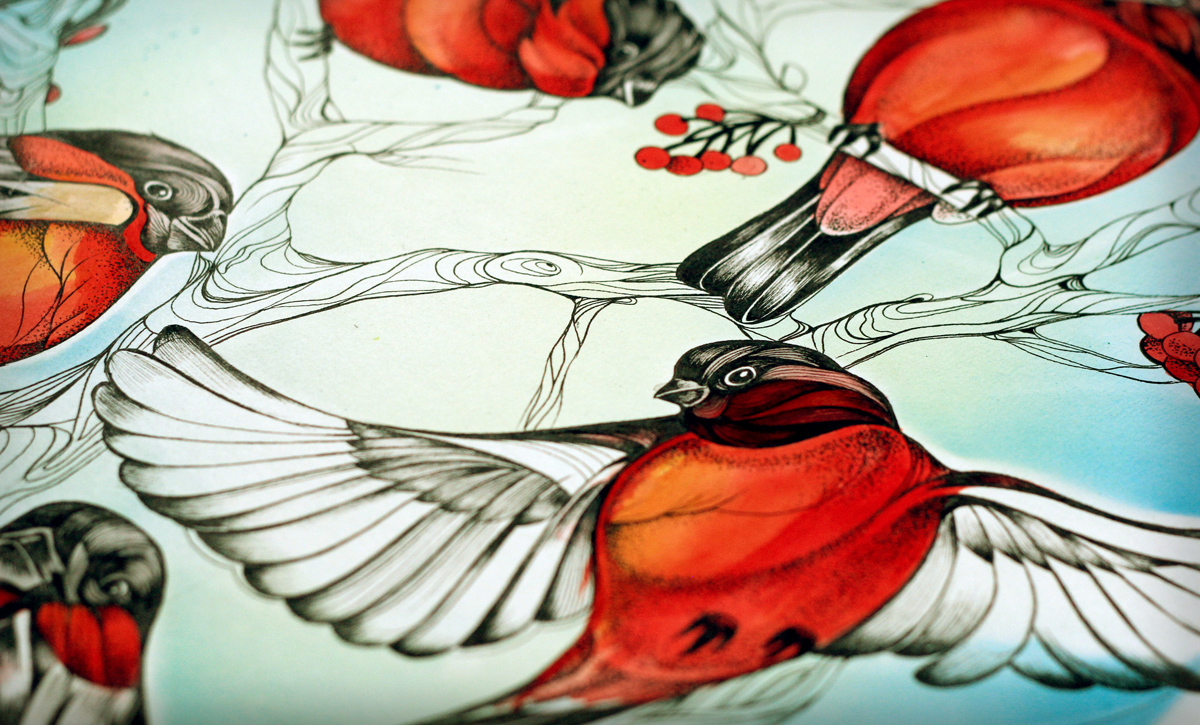 ink aquarel bullfinch bird