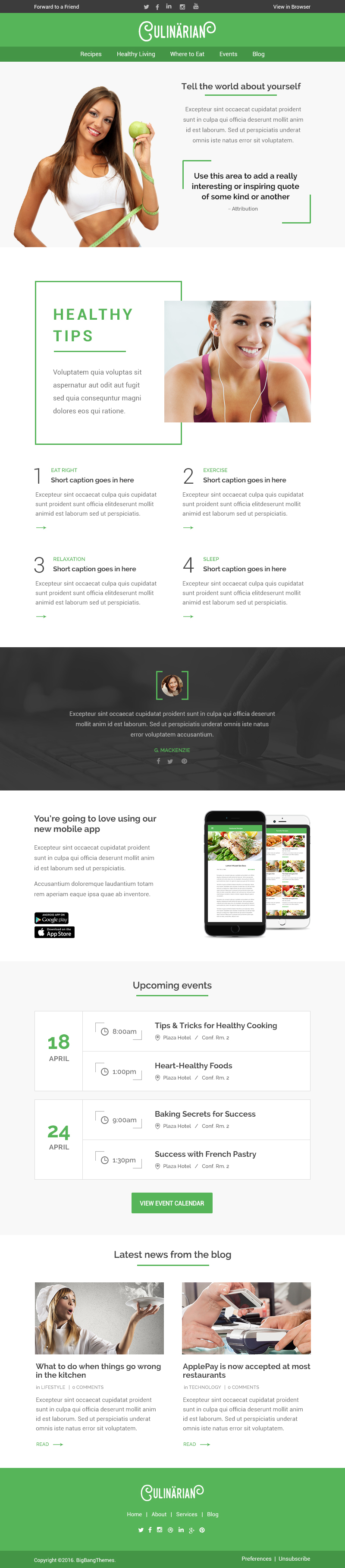 Website Web UI Food  photoshop newsletter Multipurpose flat Email design