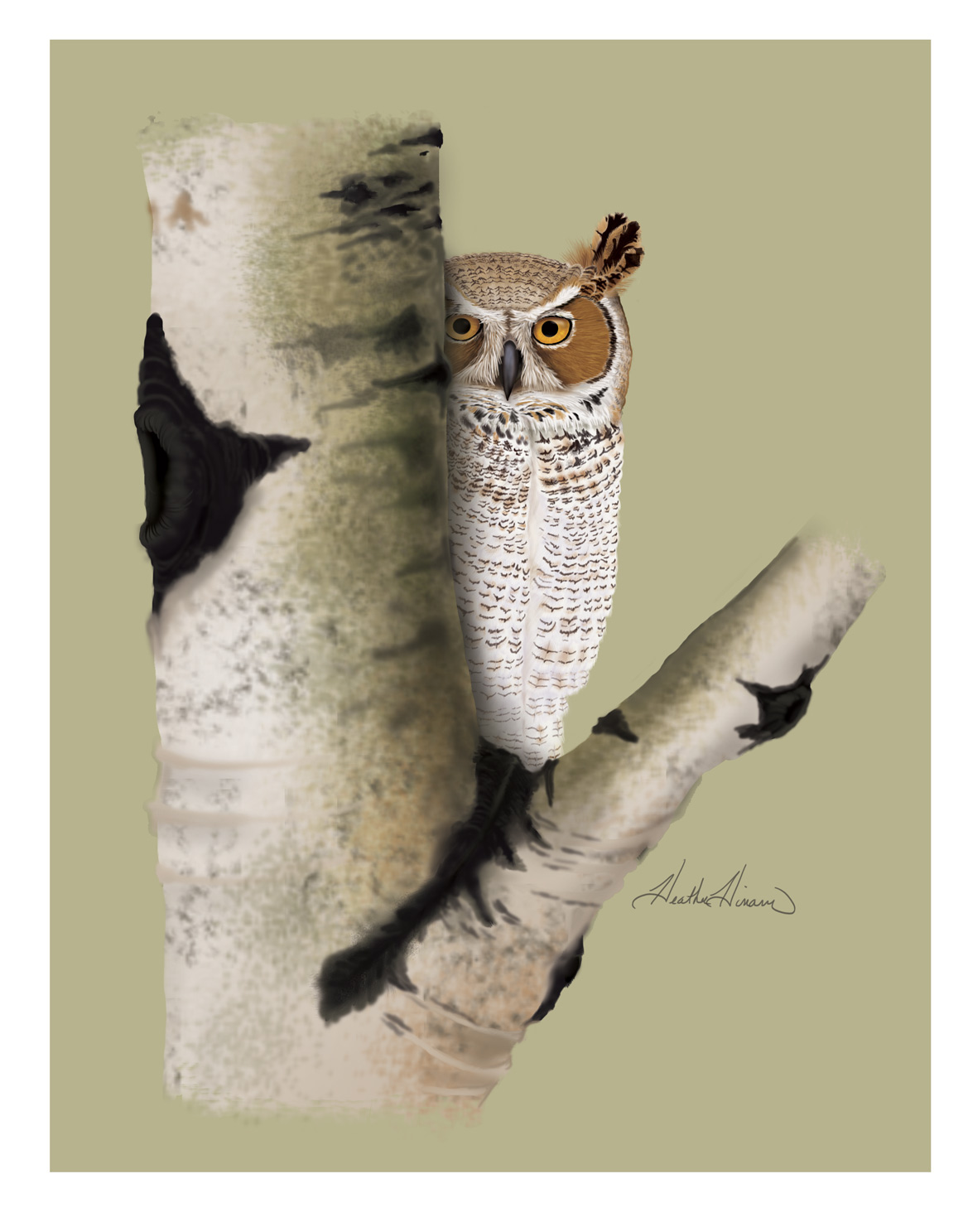 interpretive design Interpretation Nature mammals birds owl raptor wildlife Ecology
