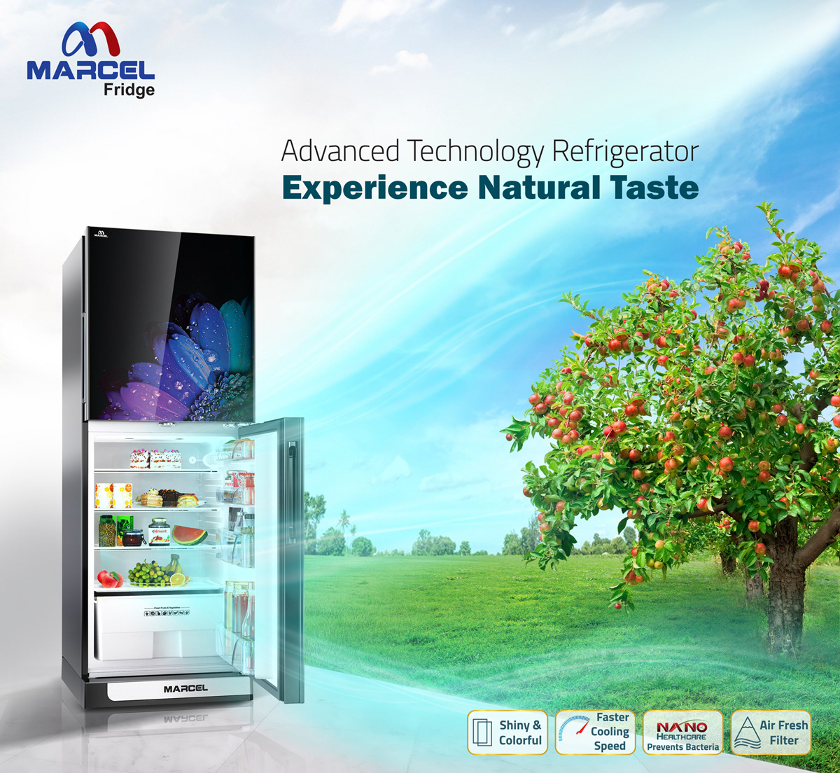 Non-Frost Refrigerator Walton ad Facebook ads english typo Walton Ad Refrigerator ADS nano technology direct cool refrigerator