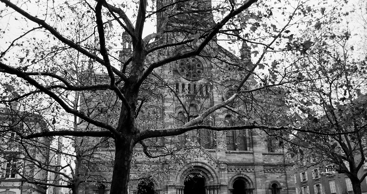 trees city Urban black and white analog