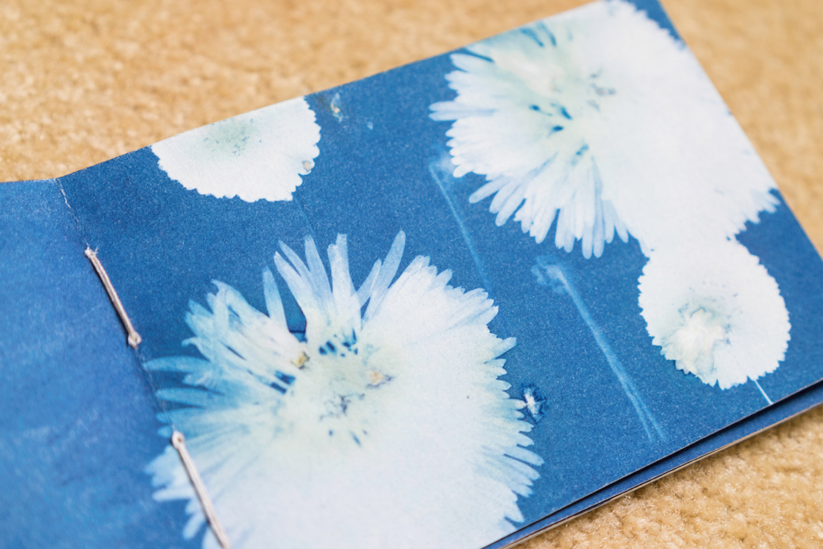cyanotype Photogram makeup jewelry Flowers coptic binding Book Arts Bookbinding