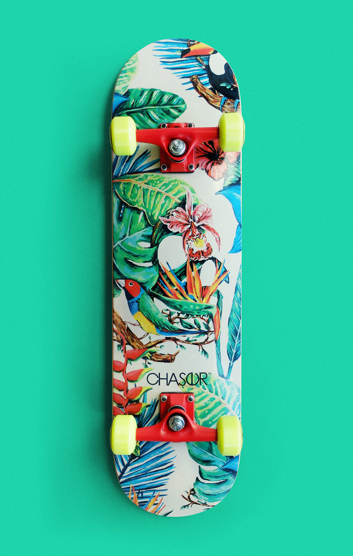 skateboards chaser skull Tropical tattoo sailor tattoo