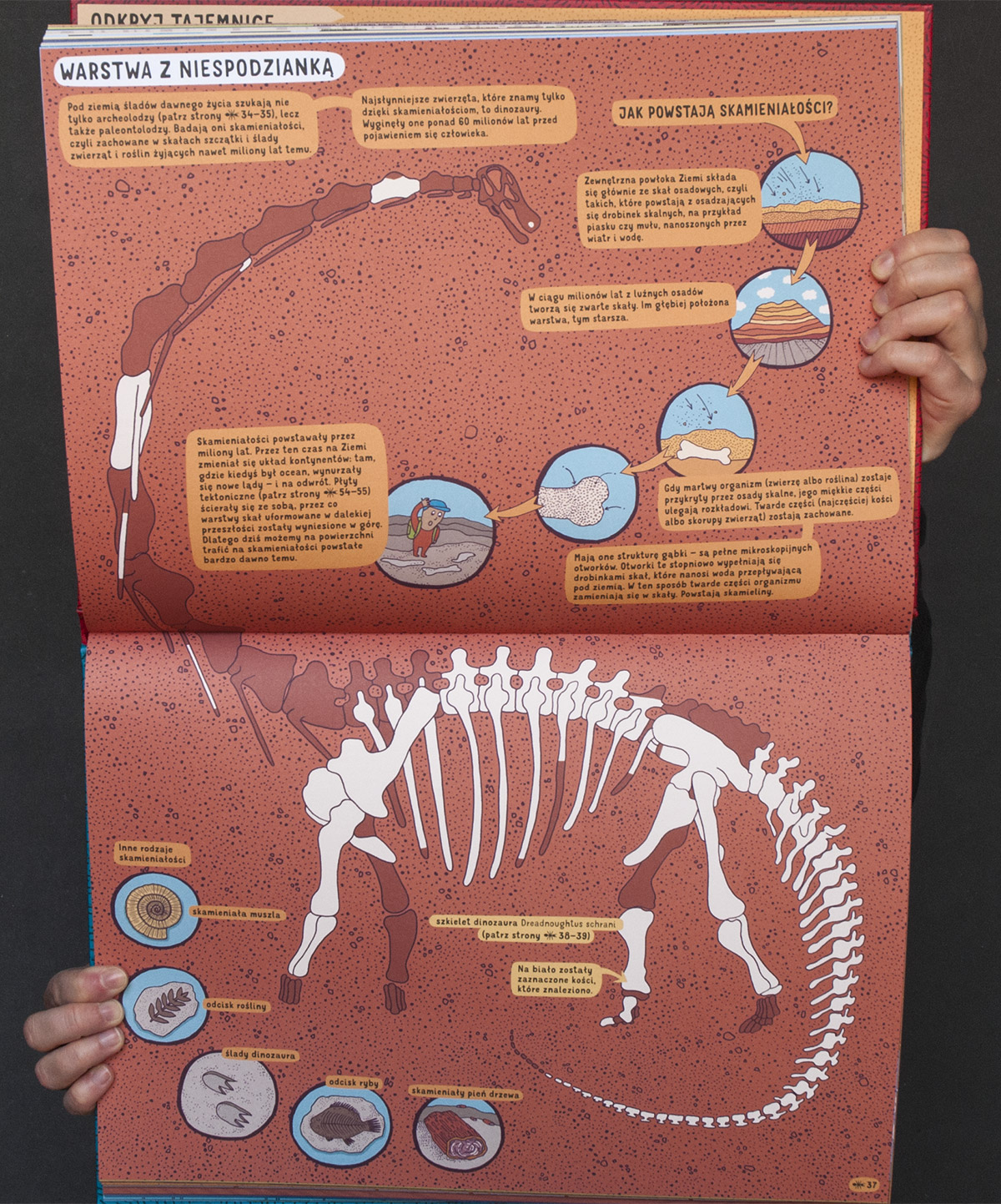 book book for children educational Education sections cross sections infographics
