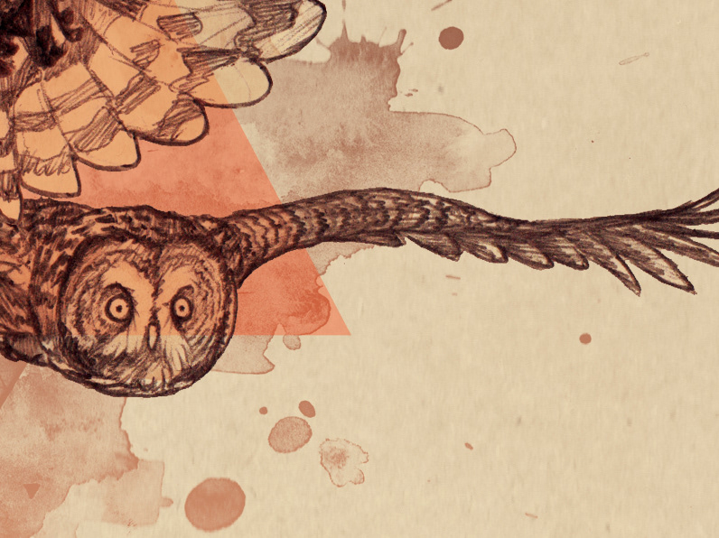 eyes open Fybe:one soundcloud owl birds