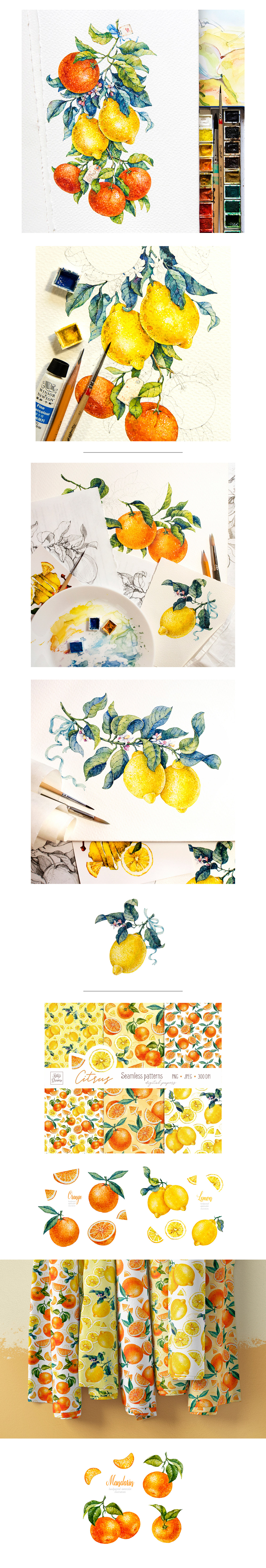 watercolor citrus mandarin orange lemon Fruit Food  botanical aquarelle floral