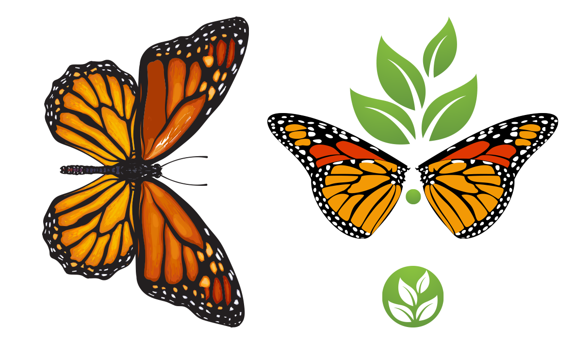 Branding design identity logo packagedesign butterfly pollinators conservation campaign appeal