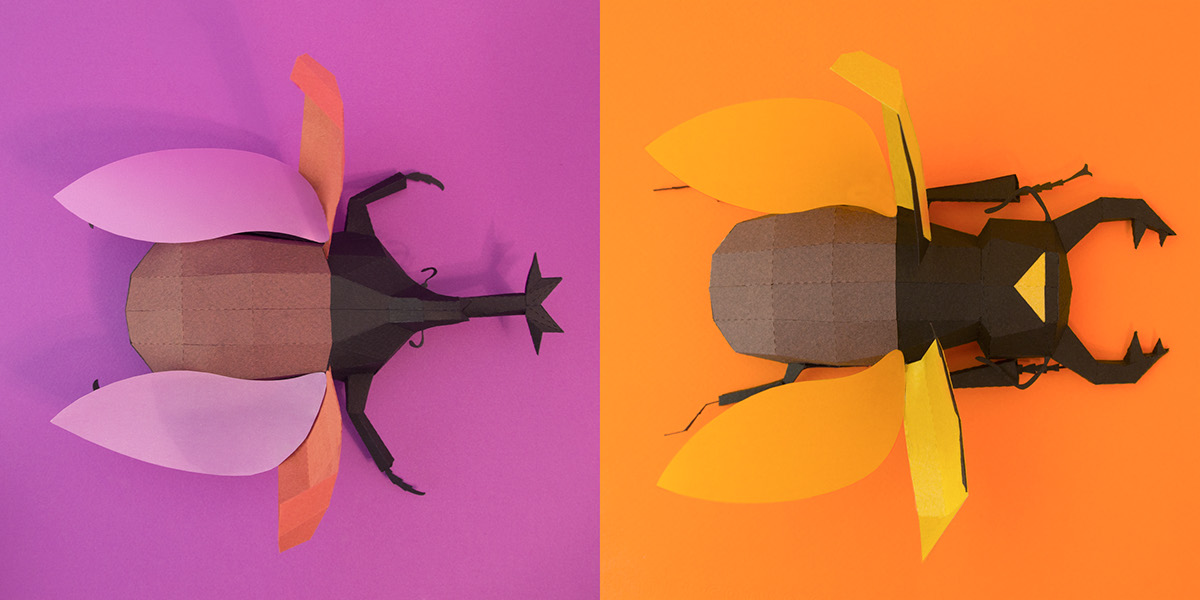 20songs escarabajos insectos beetles Insects rhino beetle papercraft kids Flying allomyrina odontolabis