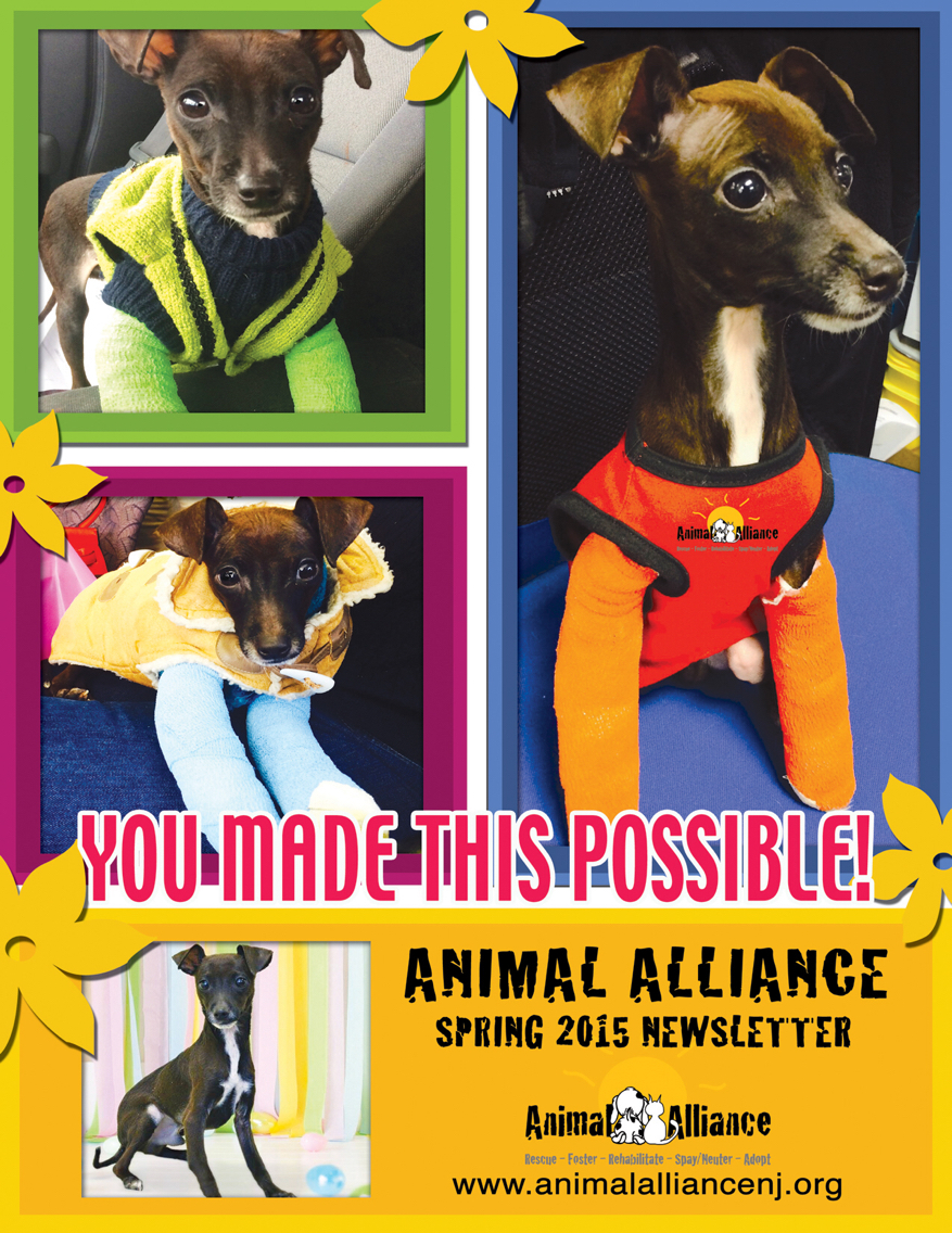 animal rescue design