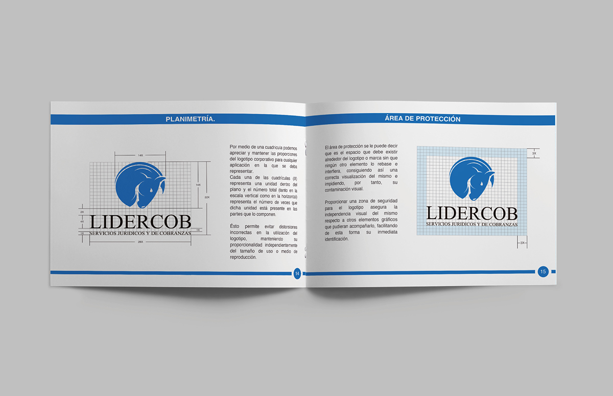 logo lawyer brand graphic art print identity Logo Design blue corporate