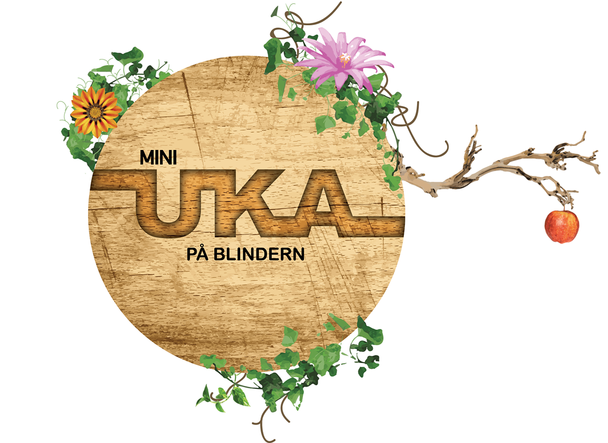 uka UKA Festival festival Mini UKA Event poster print Aftermovie oslo norway blindern Blindern Studenterhjem