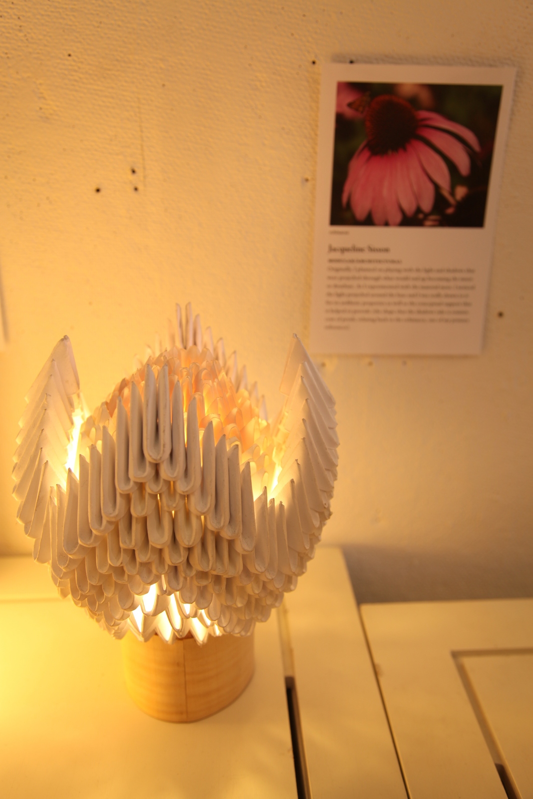 lamar  lamp paper folding  modular  artichoke Echinacea Barcelona Cathedral
