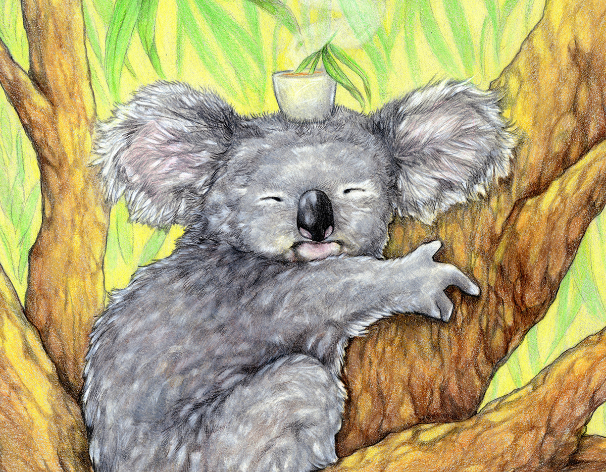 bushfire benefit charity art cute koala eucalyptus koala Koala Art koala drawing koala in tree