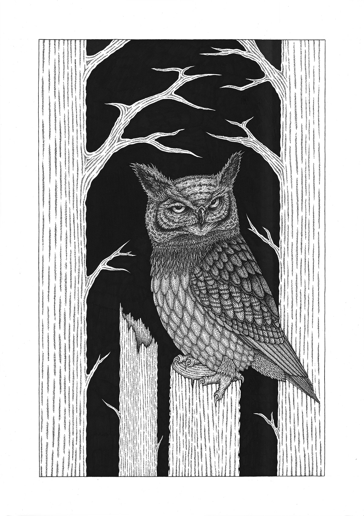 owl ink dots stippling black White art trees a2 feathers