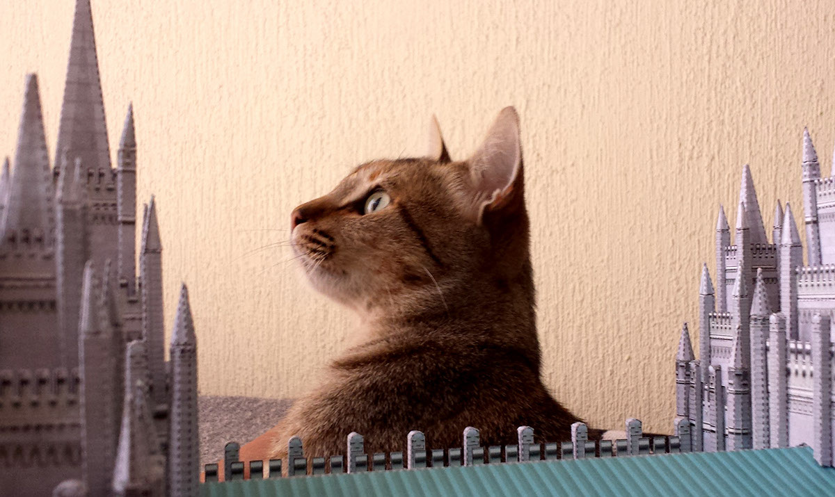 papercraft estructure Illustrator Cat Window temple templo mormon castillo