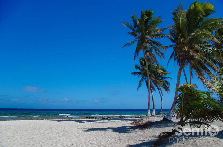 Caribbean beach lighthouse pier Island Ocean Palm Trees Shipwreck steps sand