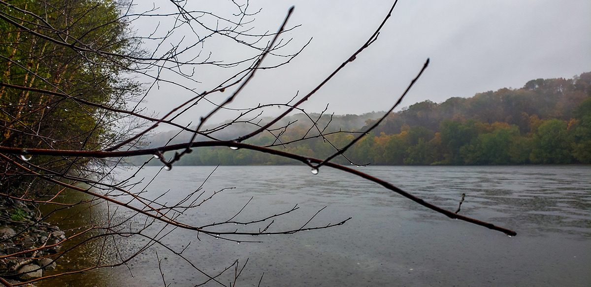 autumn rain Susquehanna River Fall leaves river Pennsylvania Nature Photography  Landscape