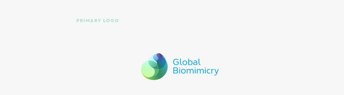 snail Golden Ratio Fibonacci Spiral biomimicry blue green Global Biomimicry