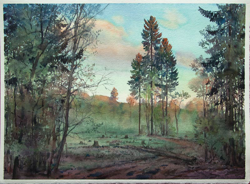 Landscape watercolor sketch forest birch