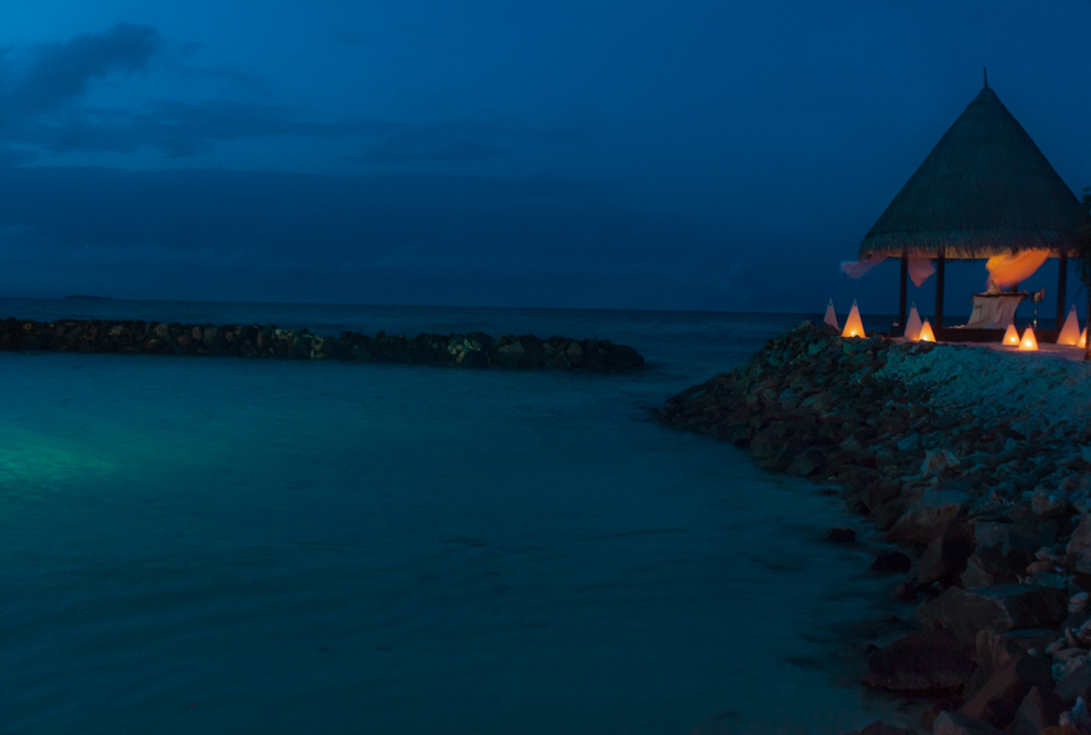 luxury resor Maldives Travel coral reef taj hotels Ocean underwater lifestyle ARIEL