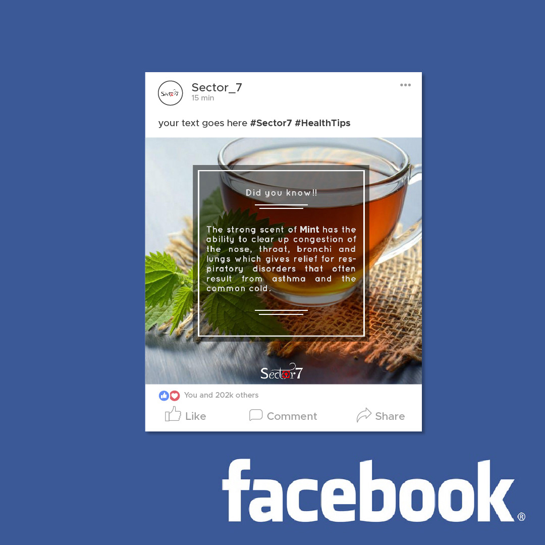 social branding  ILLUSTRATION  facebook content graphics design