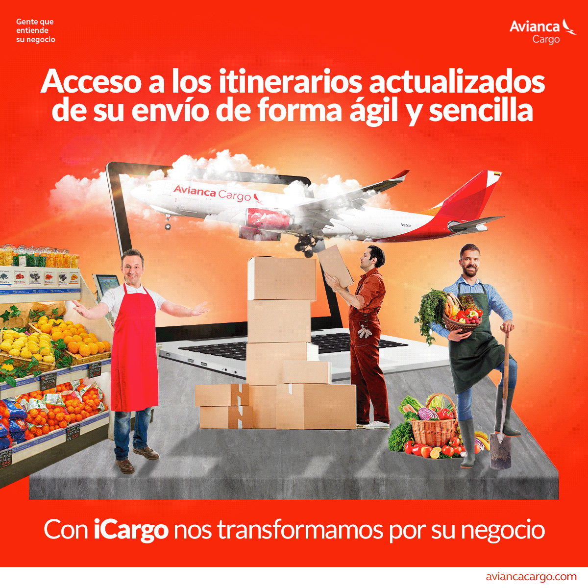 Avianca Avianca Cargo diseño gráfico publicidad marketing   Socialmedia redes sociales graphic design 