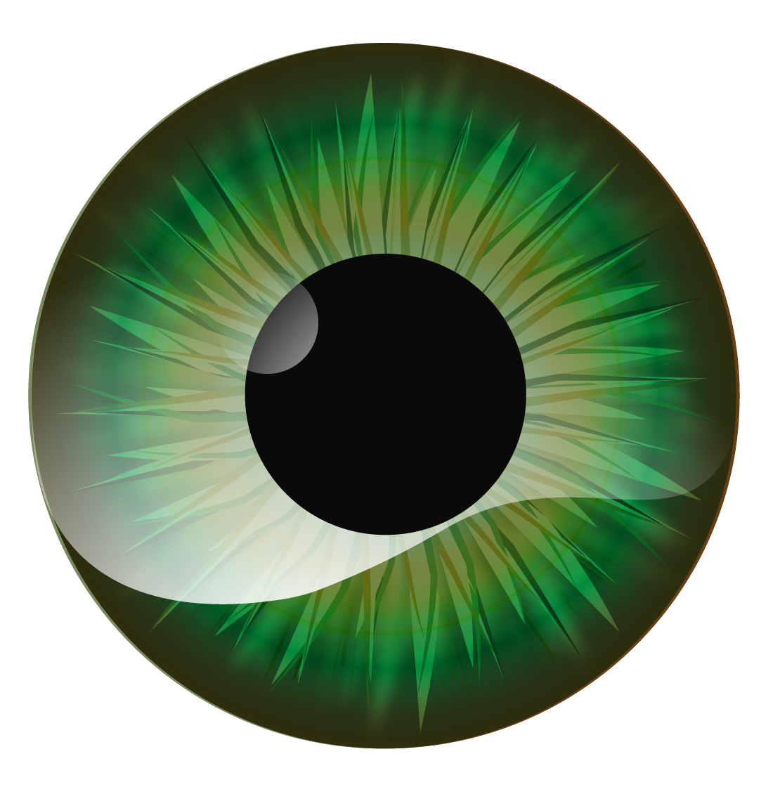 eyes eyeillustration graphicdesign realistic Digital Art  ILLUSTRATION  artwork eye hazeleyes
