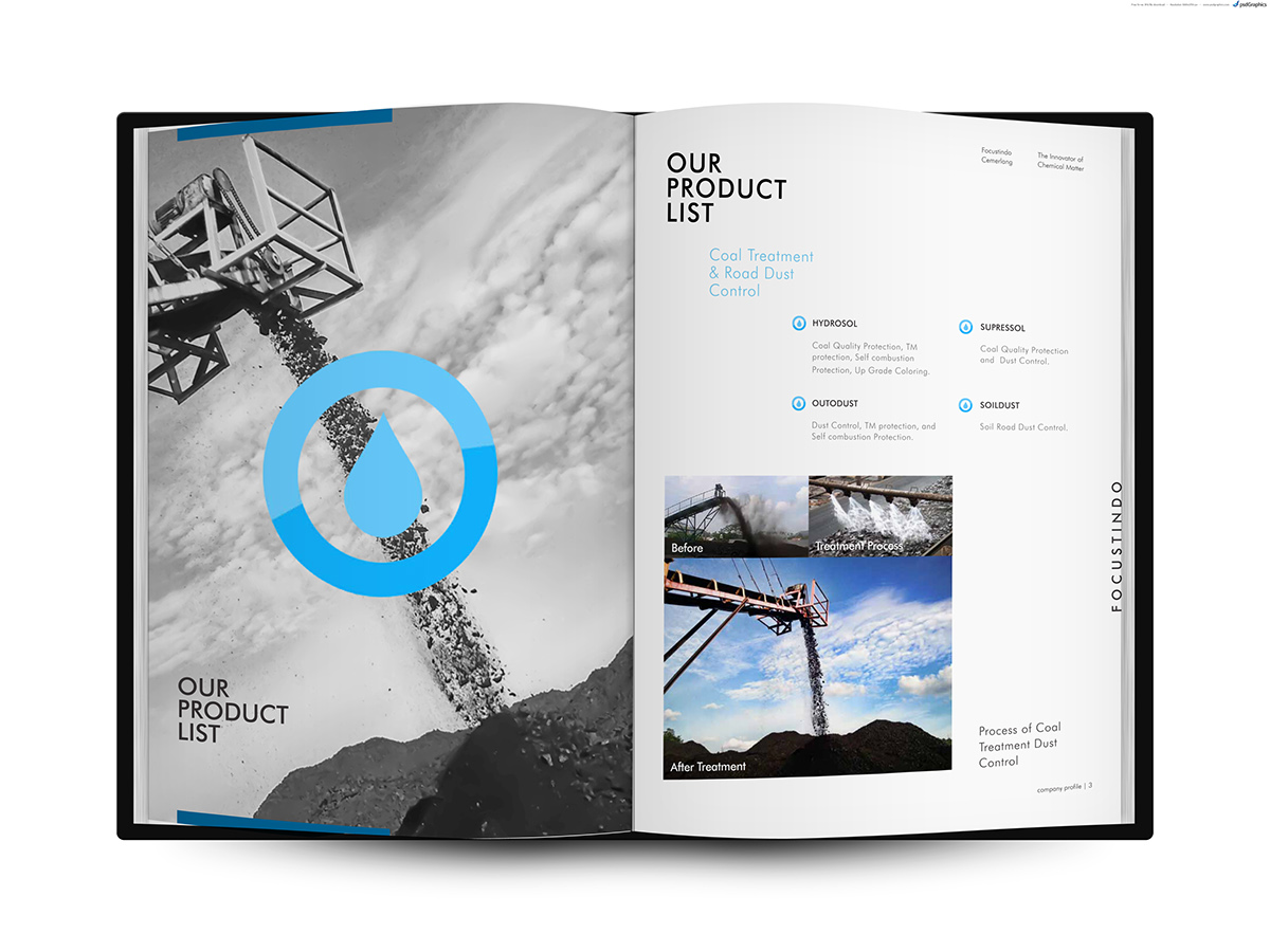 company profile Book Layout profile design swiss style design Chemical company