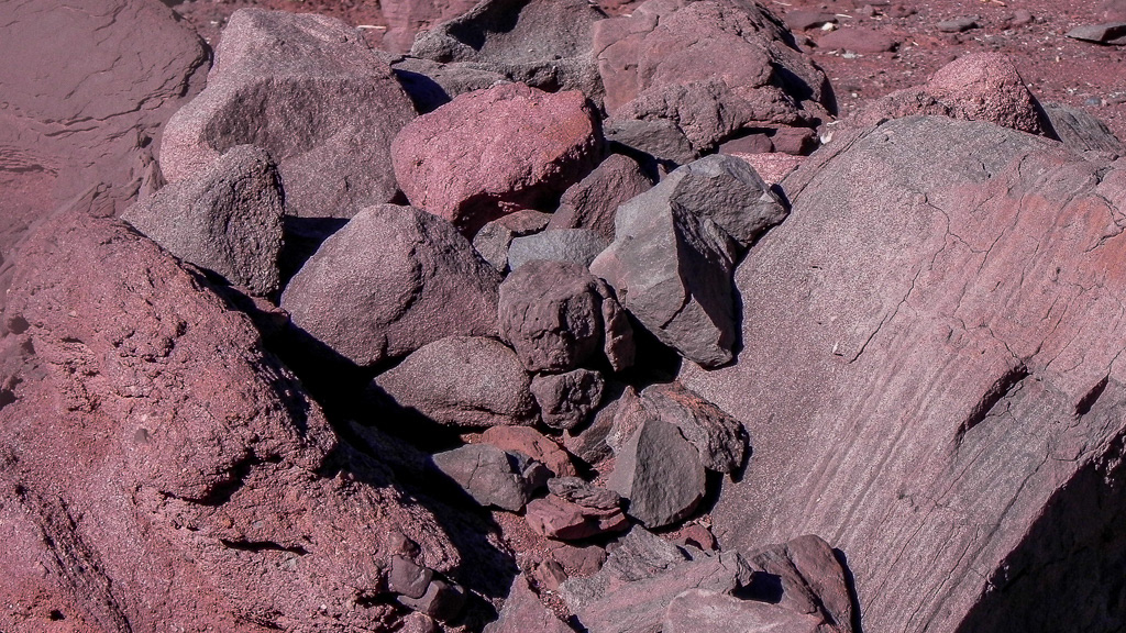 Adobe Portfolio desert rocks llama cactus petroglyph