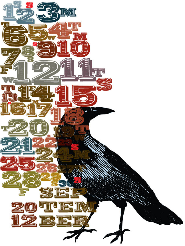 typo sudhir kuduchkar sudhir kuduchkar ahmedabad India design  calendar  calendar design Calendar 2012 crow crow 2012