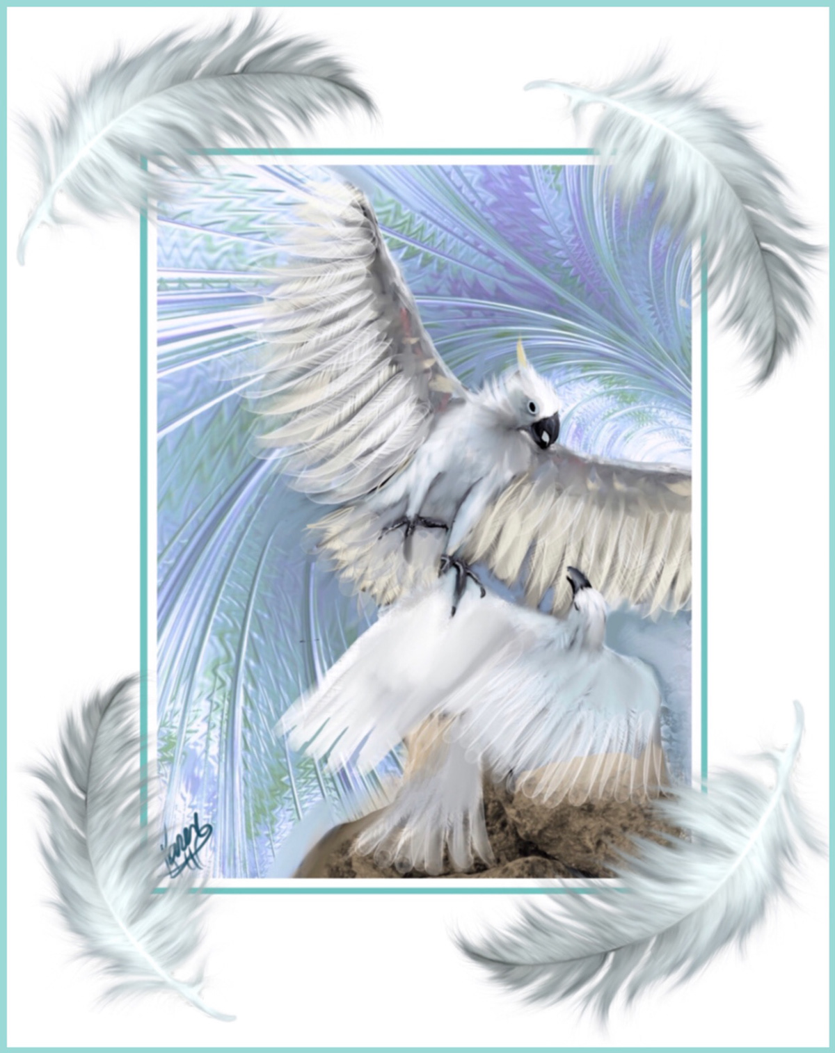 Digital Art  digital painting Drawing  illustrations birds animals Cockatoos